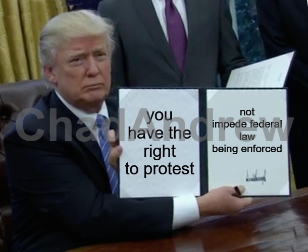 I mean, you can call it "protesting" all you want, but it doesn't change the fact you're a cry baby. | you have the right to protest; not impede federal law being enforced | image tagged in memes,trump bill signing,leftism,illegal aliens,ice,crying democrats | made w/ Imgflip meme maker