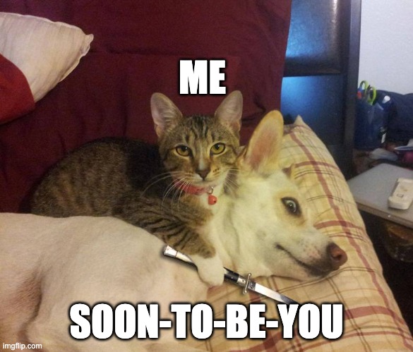 dog hostage | ME; SOON-TO-BE-YOU | image tagged in dog hostage | made w/ Imgflip meme maker