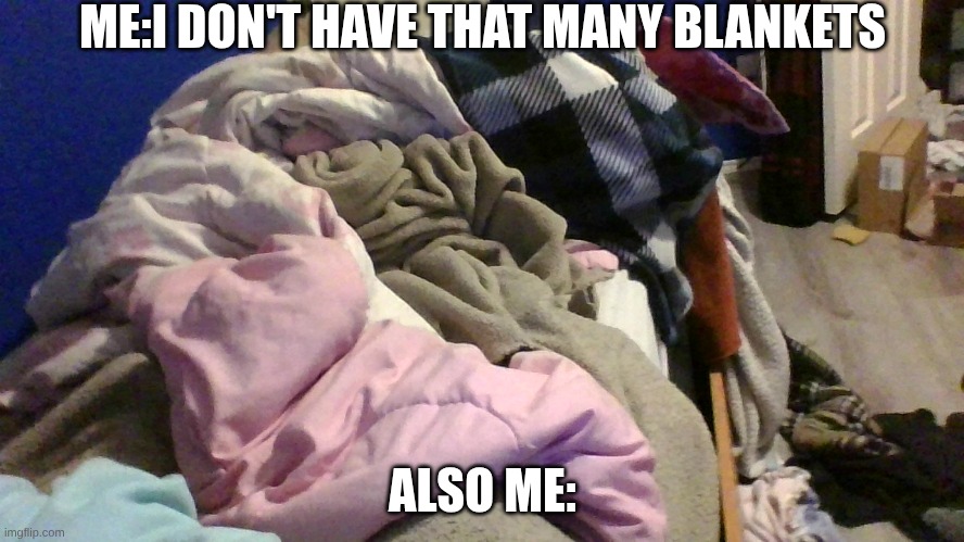 I have 22 | ME:I DON'T HAVE THAT MANY BLANKETS; ALSO ME: | made w/ Imgflip meme maker