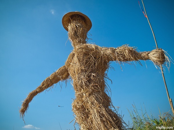 Strawman | image tagged in strawman | made w/ Imgflip meme maker