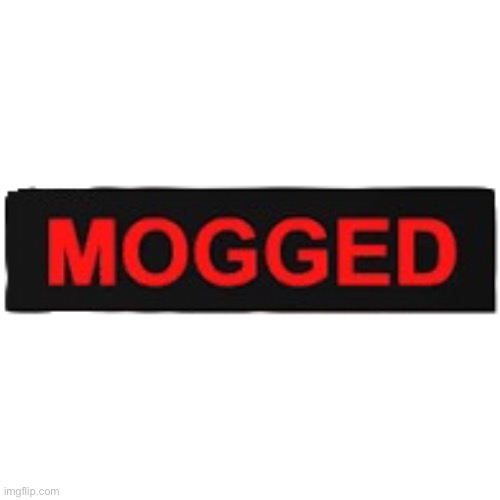 Mogged | image tagged in mogged | made w/ Imgflip meme maker