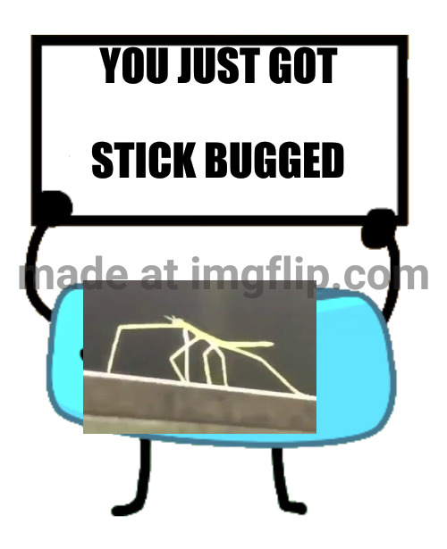 Bracelety Sign | YOU JUST GOT; STICK BUGGED | image tagged in bracelety sign | made w/ Imgflip meme maker