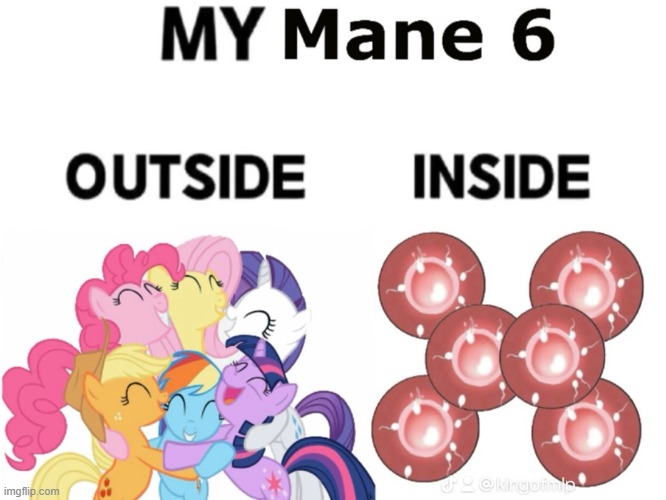 My Mane 6 | image tagged in mlp fim,mlp meme,my little pony,pregnancy,certified king classic,mlp mane 6 | made w/ Imgflip meme maker