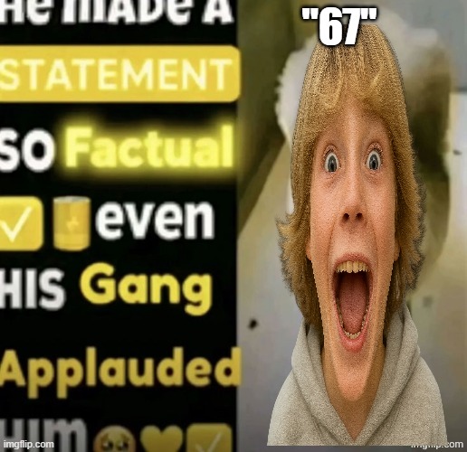 he made a statement so factual | "67" | image tagged in he made a statement so factual | made w/ Imgflip meme maker
