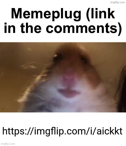 Memeplug | https://imgflip.com/i/aickkt | image tagged in memeplug | made w/ Imgflip meme maker