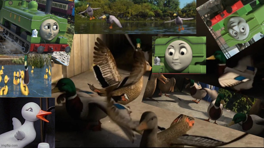Lots of ducks! | image tagged in ducks,duck,quack quack your opinion is wack,thomas the tank engine,oh wow are you actually reading these tags | made w/ Imgflip meme maker