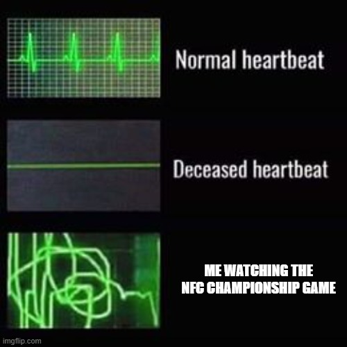 NFC Championship was crazy | ME WATCHING THE NFC CHAMPIONSHIP GAME | image tagged in nfc championship,seattle seahawks,los angeles rams | made w/ Imgflip meme maker