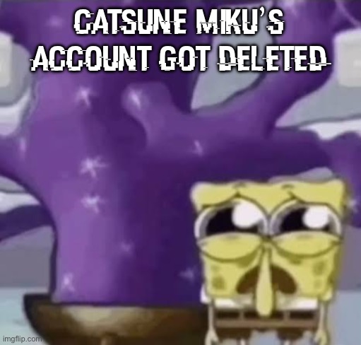 which sitemod was it this time | catsune miku’s account got deleted | image tagged in zad spunchbop | made w/ Imgflip meme maker