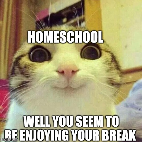 Well, hello there | WELL YOU SEEM TO BE ENJOYING YOUR BREAK HOMESCHOOL | image tagged in well hello there | made w/ Imgflip meme maker