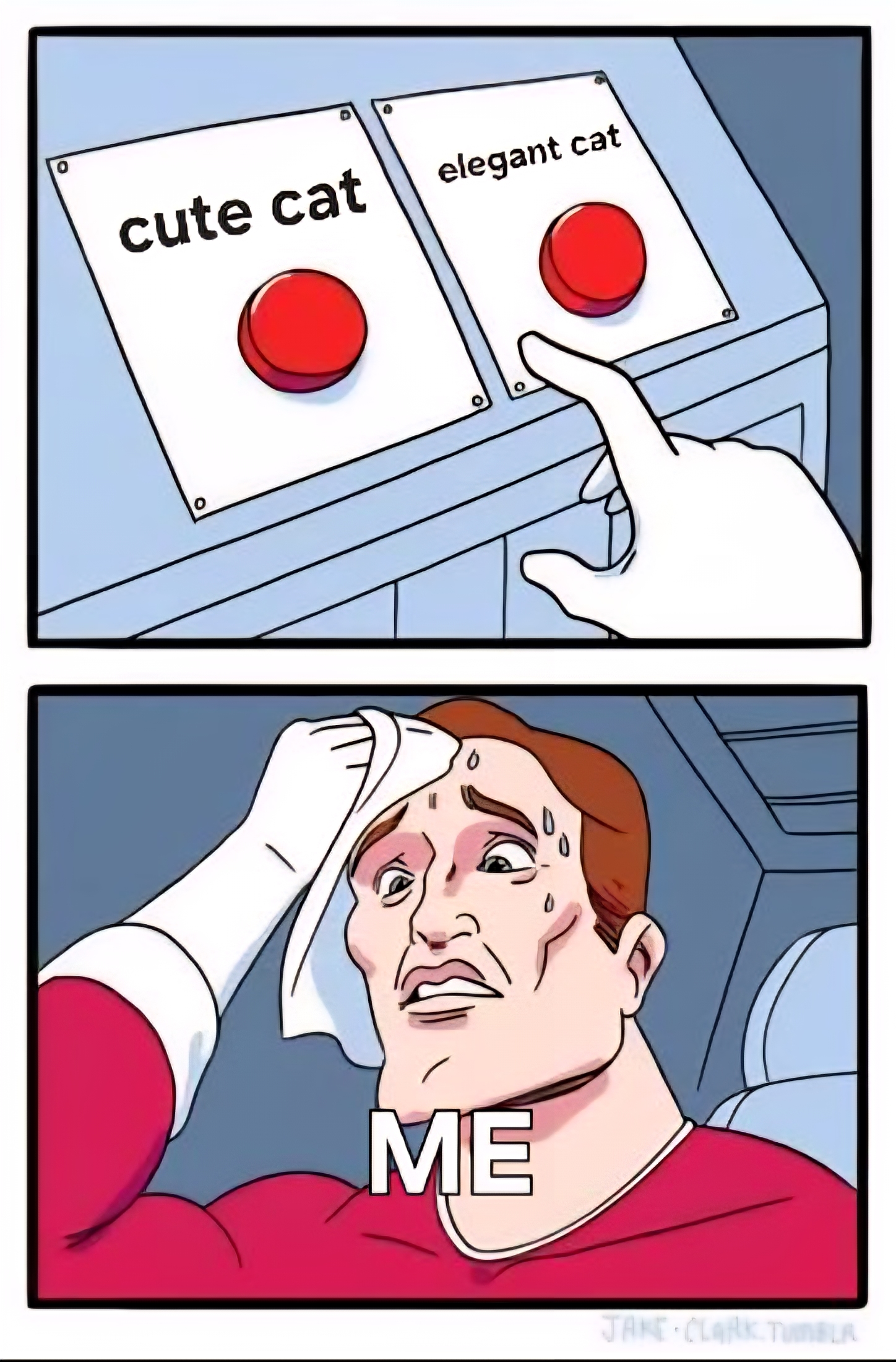 Nervous cat guy Blank Meme Template