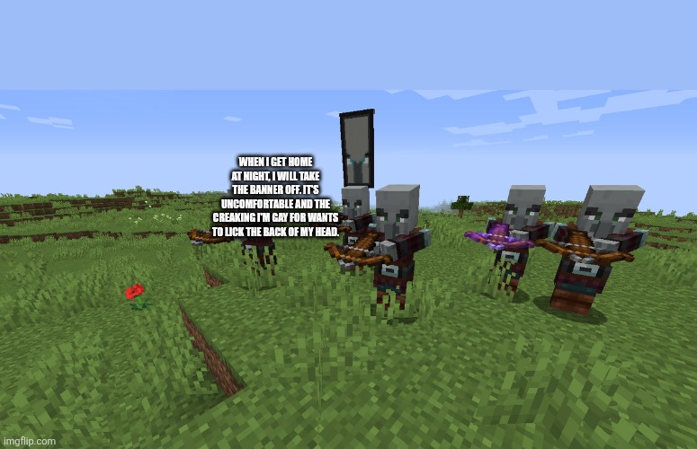 Pillager Patrol | WHEN I GET HOME AT NIGHT, I WILL TAKE THE BANNER OFF. IT'S UNCOMFORTABLE AND THE CREAKING I'M GAY FOR WANTS TO LICK THE BACK OF MY HEAD. | image tagged in pillager patrol | made w/ Imgflip meme maker