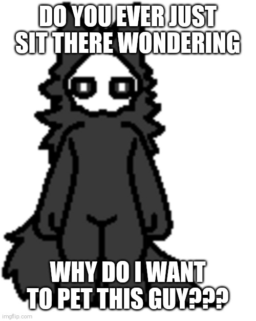 Puro, my beloved | DO YOU EVER JUST SIT THERE WONDERING; WHY DO I WANT TO PET THIS GUY??? | image tagged in puro,changed,shitpost | made w/ Imgflip meme maker