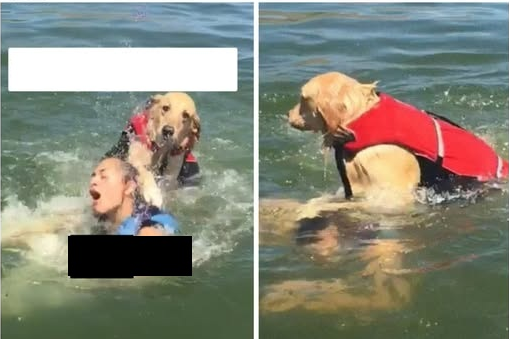 drownding girl and dog Blank Meme Template
