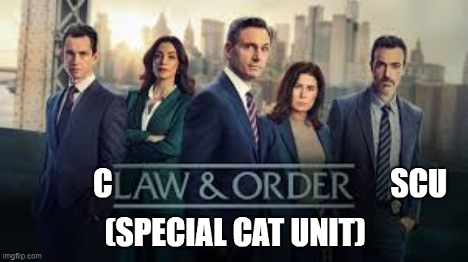 What's a cats favorite police show? Claw and Order SCU   (special cat unit) | C                                             SCU; (SPECIAL CAT UNIT) | image tagged in cat,kittens,funny,humor,law and order,play on words | made w/ Imgflip meme maker
