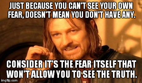 One Does Not Simply Meme | JUST BECAUSE YOU CAN'T SEE YOUR OWN FEAR, DOESN'T MEAN YOU DON'T HAVE ANY. CONSIDER IT'S THE FEAR ITSELF THAT WON'T ALLOW YOU TO SEE THE TRU | image tagged in memes,one does not simply | made w/ Imgflip meme maker