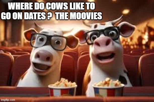 Where do cows like to go on dates?   The MOOvies. | WHERE DO COWS LIKE TO GO ON DATES ?  THE MOOVIES | image tagged in funny,humor,cows,movies,play on words,dating | made w/ Imgflip meme maker