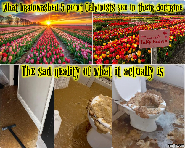 What they see vs the reality | image tagged in calvinism,calvinist memes,anti calvinism,reformed theology,tulips,backed up septic tank | made w/ Imgflip meme maker