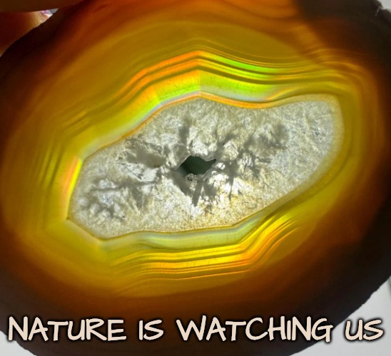 NATURE IS WATCHING US | made w/ Imgflip meme maker