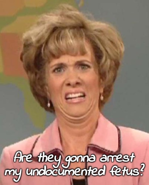 It's safer | Are they gonna arrest my undocumented fetus? | image tagged in disgusted kristin wiig,illegal immigrants,deportation,politics,funny | made w/ Imgflip meme maker