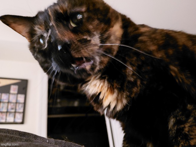 LMFAOOO | made w/ Imgflip meme maker