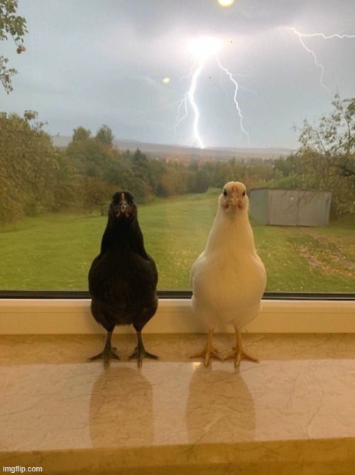 image tagged in shitpost | made w/ Imgflip meme maker