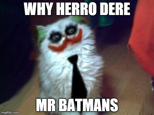 WHY HERRO DERE MR BATMANS | image tagged in joker,cats | made w/ Imgflip meme maker