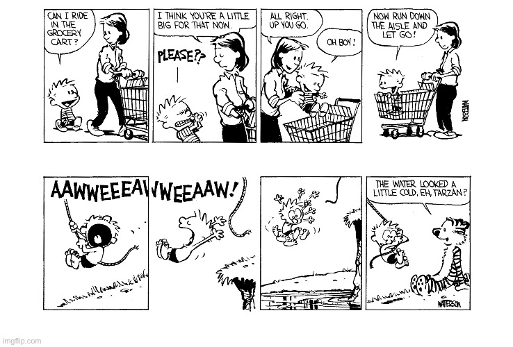 image tagged in calvin and hobbes,comics | made w/ Imgflip meme maker