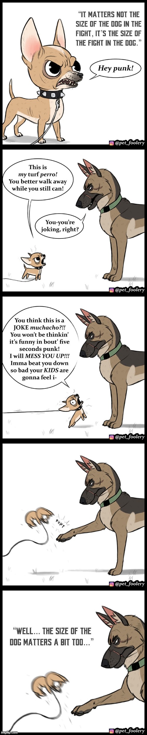 Yet another one of my favorite comics LOL | image tagged in dog,chihuahua,dogs,size,fight,lmao | made w/ Imgflip meme maker