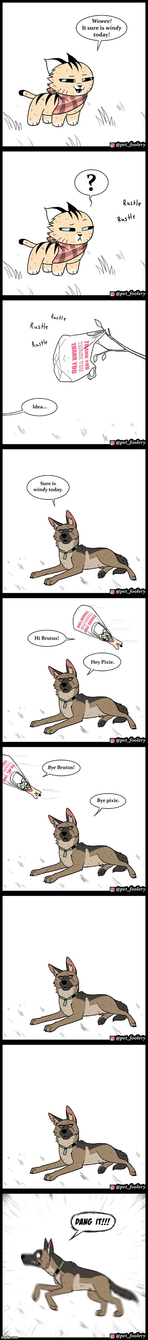 image tagged in cat,wind,plastic bag,floating,dog,running | made w/ Imgflip meme maker