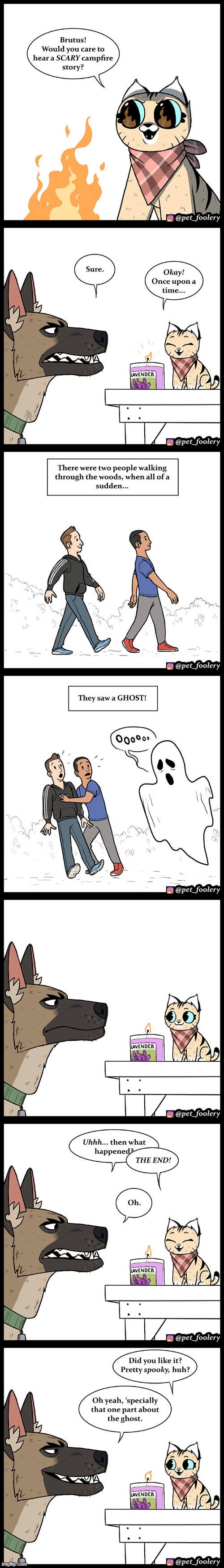 image tagged in cat,dog,scary,campfire,story,ghost | made w/ Imgflip meme maker