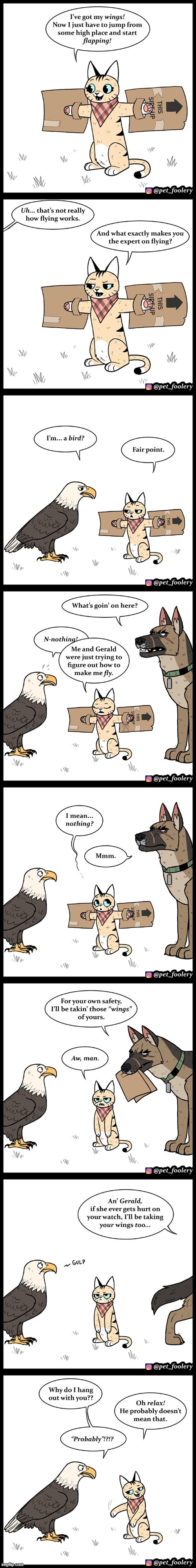 Pixie and Brutus in the future! | image tagged in cat,wings,eagle,bird,dog,flying | made w/ Imgflip meme maker