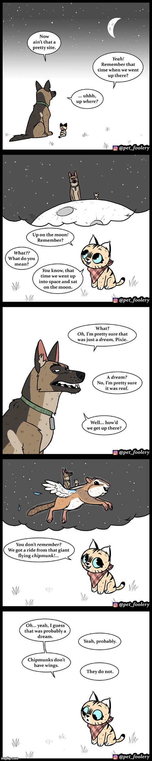 image tagged in dog,cat,dream,moon,flying,chipmunk | made w/ Imgflip meme maker