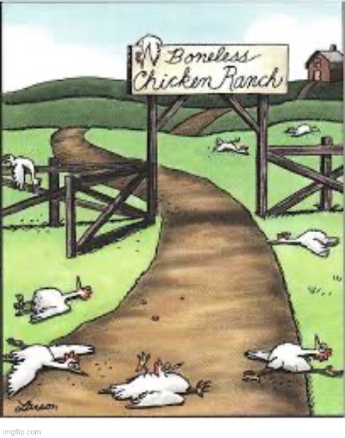 They had to come from somewhere… | image tagged in the far side,comics,boneless chickens,ranch,absurd | made w/ Imgflip meme maker