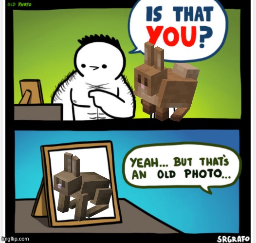 Rabbit model overhaul in new drop | image tagged in is tha you | made w/ Imgflip meme maker