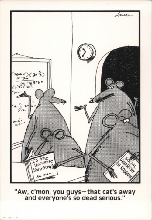 They must be lab mice… | image tagged in the far side,comics,mice,cats away,dead serious | made w/ Imgflip meme maker