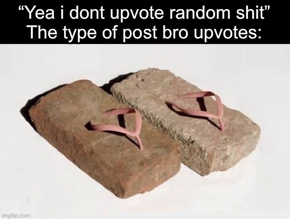 brick slippers  | “Yea i dont upvote random shit”
The type of post bro upvotes: | image tagged in brick slippers,funny memes,flseofunsaofiunsgoaiusnfoiasugn,fnsioeunfs,sfniuybsdgiudsugr,digdorgn | made w/ Imgflip meme maker
