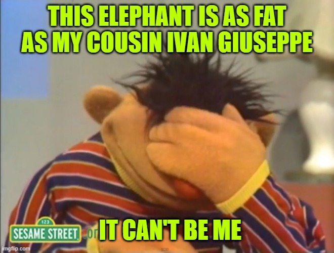Face palm Ernie  | THIS ELEPHANT IS AS FAT AS MY COUSIN IVAN GIUSEPPE; IT CAN'T BE ME | image tagged in face palm ernie | made w/ Imgflip meme maker