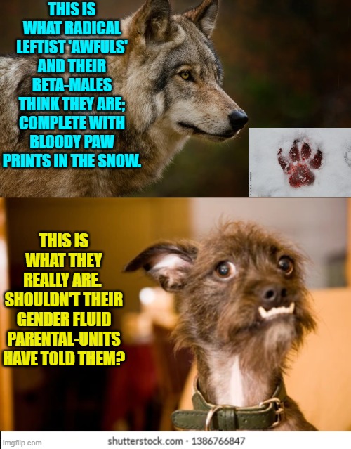 Oh and also leftists . . . vultures are not eagles. | THIS IS WHAT RADICAL LEFTIST 'AWFULS' AND THEIR BETA-MALES THINK THEY ARE; COMPLETE WITH BLOODY PAW PRINTS IN THE SNOW. THIS IS WHAT THEY REALLY ARE.  SHOULDN'T THEIR GENDER FLUID PARENTAL-UNITS HAVE TOLD THEM? | image tagged in yep | made w/ Imgflip meme maker