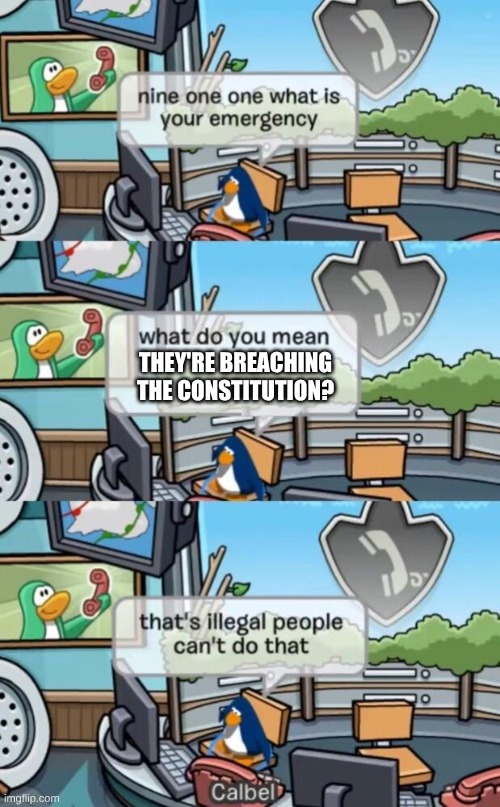 that's illegal people can't do that | THEY'RE BREACHING THE CONSTITUTION? | image tagged in that's illegal people can't do that | made w/ Imgflip meme maker