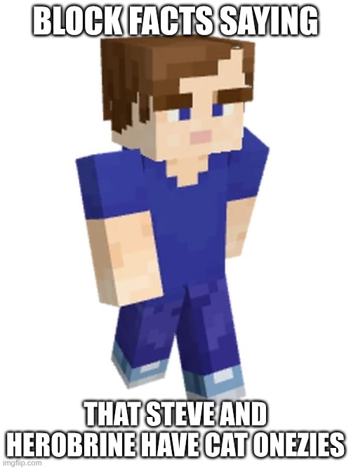 oh block facts... | BLOCK FACTS SAYING; THAT STEVE AND HEROBRINE HAVE CAT ONEZIES | image tagged in block facts,bug status wont fix | made w/ Imgflip meme maker