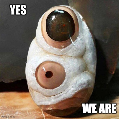 YES WE ARE | made w/ Imgflip meme maker