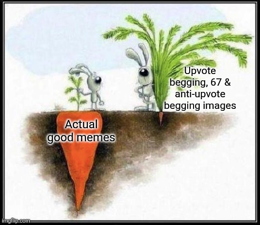 Two Rabbits | Upvote begging, 67 & anti-upvote begging images; Actual good memes | image tagged in memes,upvote,beggar | made w/ Imgflip meme maker