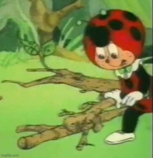 Fotos de cocomiel | image tagged in cococinel | made w/ Imgflip meme maker