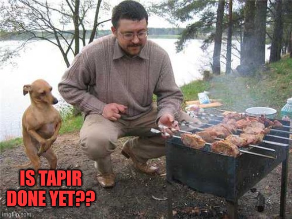 Dobby thanks master for the BBQ | IS TAPIR DONE YET?? | image tagged in dobby thanks master for the bbq | made w/ Imgflip meme maker