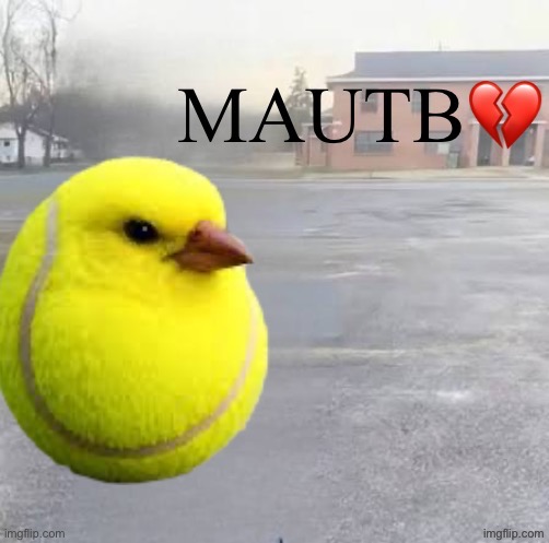 Mods Asleep, Upvote Tennis Bird | image tagged in mods asleep upvote tennis bird | made w/ Imgflip meme maker