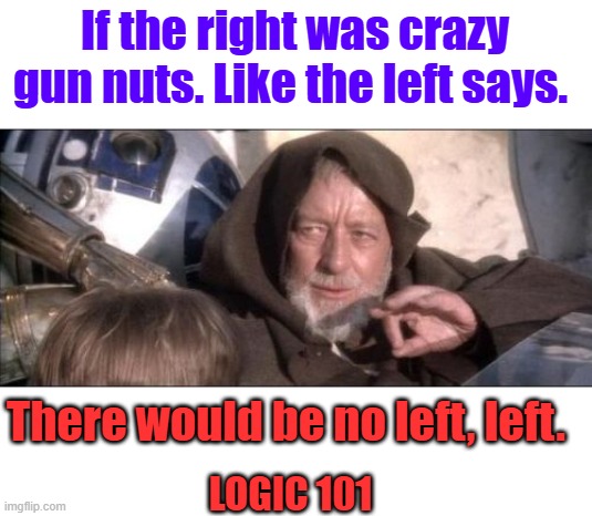 The mind of a leftist has no logic or reason. | If the right was crazy gun nuts. Like the left says. There would be no left, left. LOGIC 101 | image tagged in memes,these aren't the droids you were looking for | made w/ Imgflip meme maker