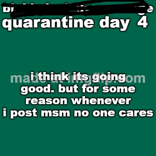 day 4 | 4; i think its going good. but for some reason whenever i post msm no one cares | image tagged in quarantine day _ | made w/ Imgflip meme maker
