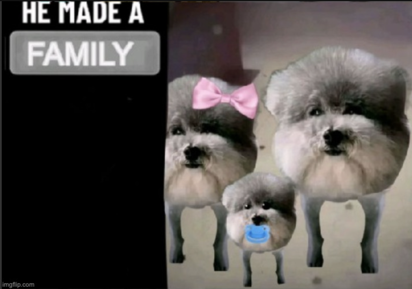 He made a family Blank Meme Template