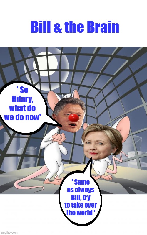 BILLY  and the brain | Bill & the Brain; ' So Hilary, what do we do now'; ' Same as always Bill, try to take over the world ' | image tagged in pinky and the brain | made w/ Imgflip meme maker