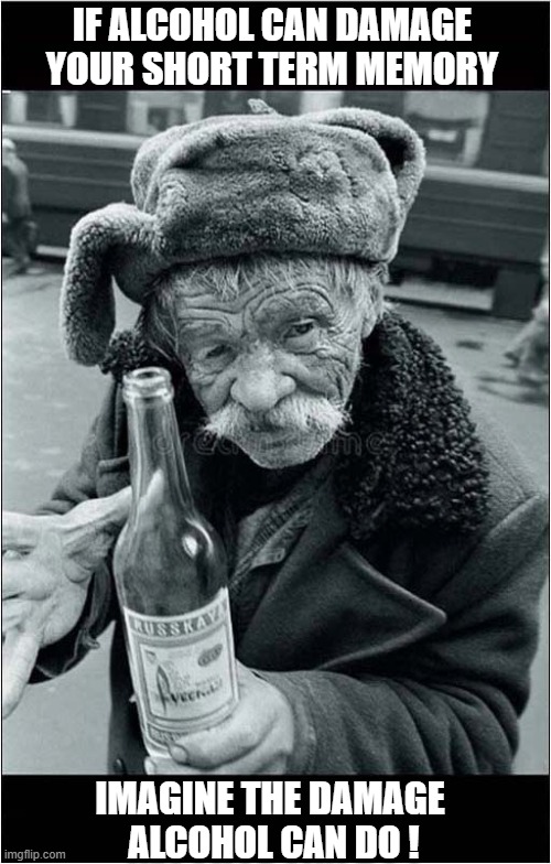 Just A Warning ! | IF ALCOHOL CAN DAMAGE YOUR SHORT TERM MEMORY; IMAGINE THE DAMAGE
 ALCOHOL CAN DO ! | image tagged in warning,alcohol,memory,damage | made w/ Imgflip meme maker